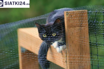 Siatki Ropczyce - Dobra siatka balkonowa - na ptaki i dla kota dla terenów Ropczyc