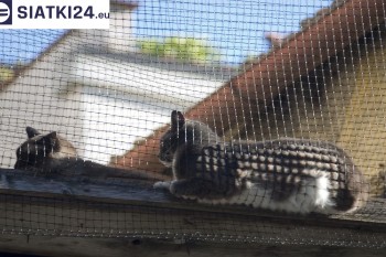 Siatki Ropczyce - Siatka na balkony dla kota i zabezpieczenie dzieci dla terenów Ropczyc