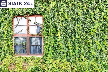 Siatki Ropczyce - Siatka z dużym oczkiem - wsparcie dla roślin pnących na altance, domu i garażu dla terenów Ropczyc